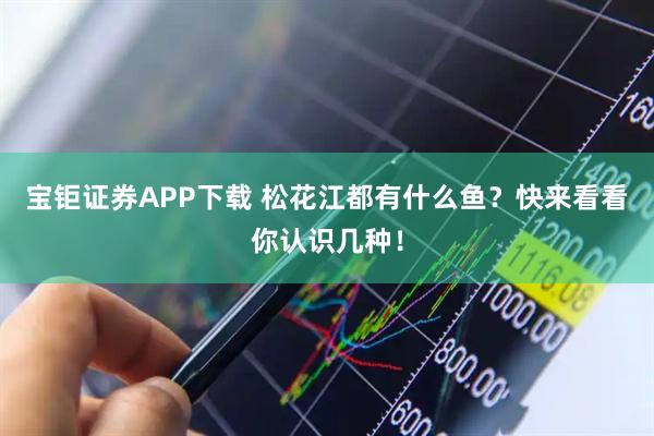 宝钜证券APP下载 松花江都有什么鱼？快来看看你认识几种！