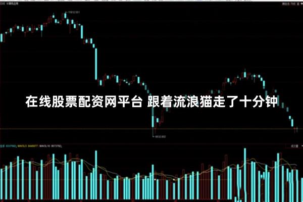 在线股票配资网平台 跟着流浪猫走了十分钟