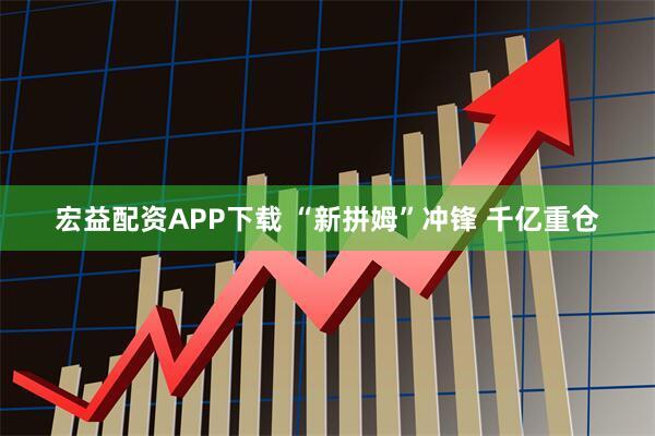 宏益配资APP下载 “新拼姆”冲锋 千亿重仓