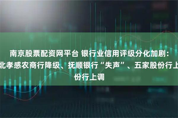 南京股票配资网平台 银行业信用评级分化加剧：湖北孝感农商行降级、抚顺银行“失声”、五家股份行上调